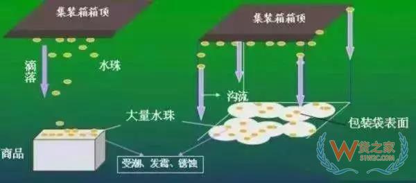 集裝箱里進(jìn)水，誰的錯？如何預(yù)防應(yīng)對？貨之家