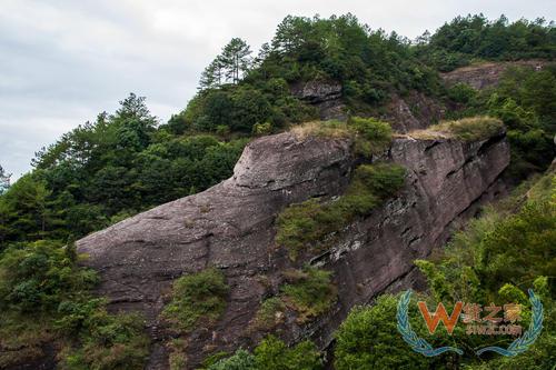 龍巖京東保稅倉,保稅倉服務(wù),保稅倉直郵,進(jìn)口跨境電商,中國跨境電商—貨之家